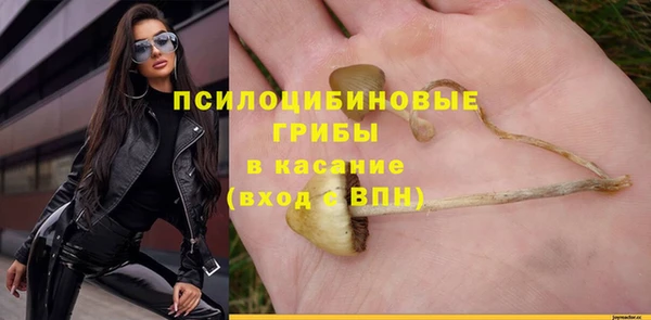 не бодяженный Алексин